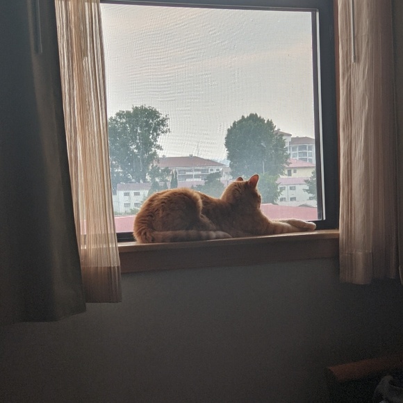 Meet your Posher, Patrick - Picture 1 of 1